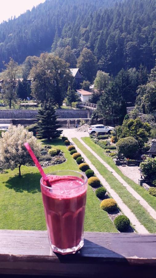 Moje Pieniny Apartament Szczawnica Exterior foto